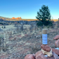 LIP BALM (Stick) -  Peppermint